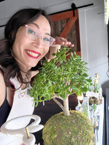 Jade Kokedama (xxl)